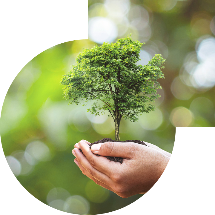 關懷人類、文化、環境與社會